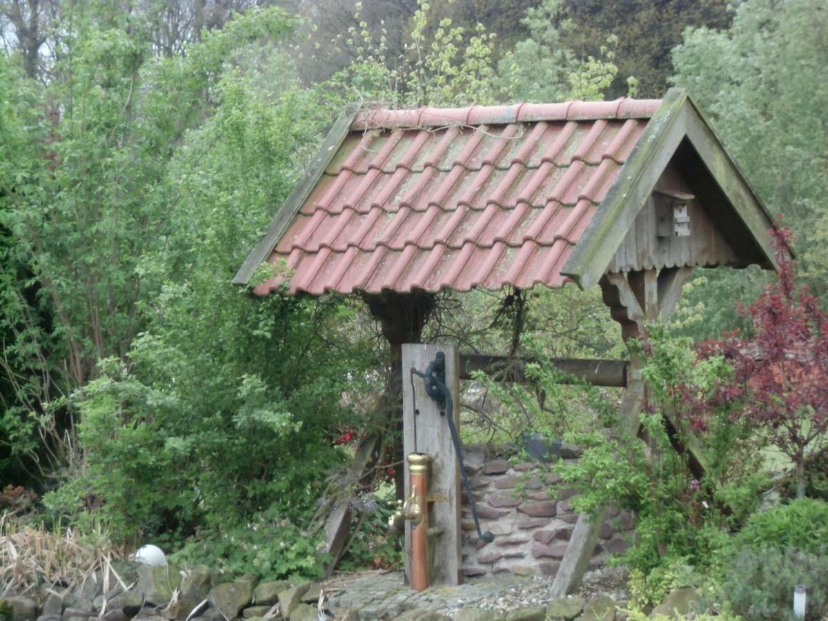 Fewo Emsland Emsbüren Εξωτερικό φωτογραφία