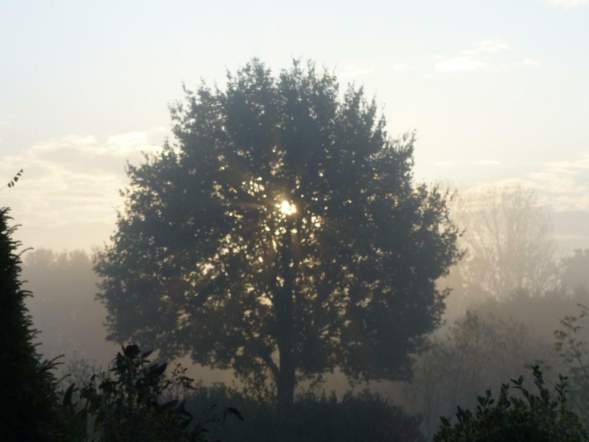Fewo Emsland Emsbüren Εξωτερικό φωτογραφία